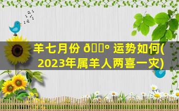 羊七月份 🐺 运势如何(2023年属羊人两喜一灾)
